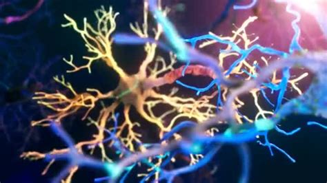 Neuron Synapse Animation