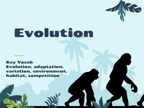 Year 6 Science Evolution Lesson 1 Introduction To Evolution