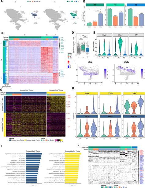 T Cells A The Umap Plots Of T Cells Which Were Color Coded According