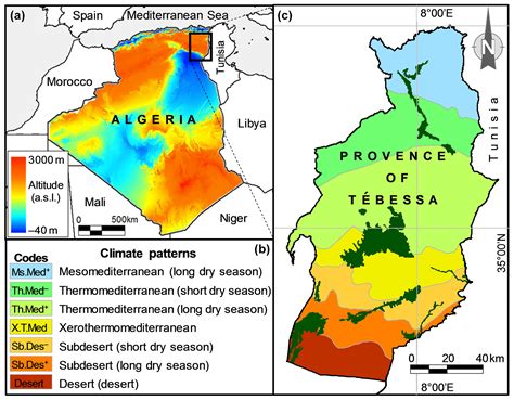 We Pollen Morphological Variability Correlates With A Large Scale Gradient Of Aridity