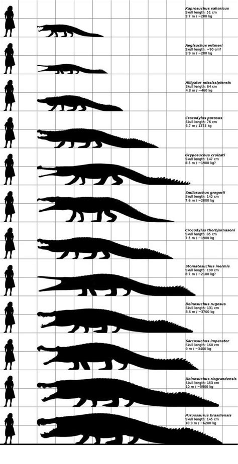 How accurate is this. Not the size numbers. The sizes themselves. Was ...