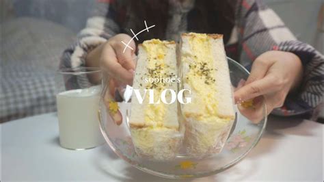 Eng 수회 자취브이로그 밥해먹고 카페가는 일상 Vlog 당근김밥🥕 계란샌드위치🥪 아트박스 다이어리 포토카드 앨범