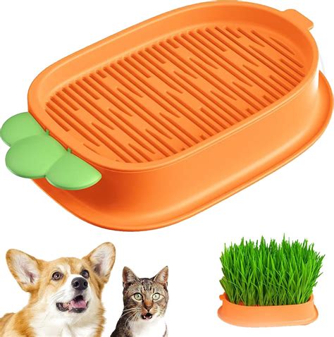 Cat Grass Growing Kit Cat Grass Planter Seeds Sprouting Tray Plant Germination Trays Cat