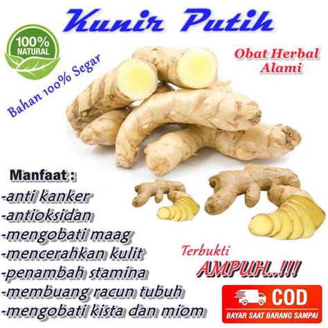 Jual KUNYIT PUTIH SERBUK MURNI 100 KUNIR PUTIH BUBUK ORIGINAL ASLI