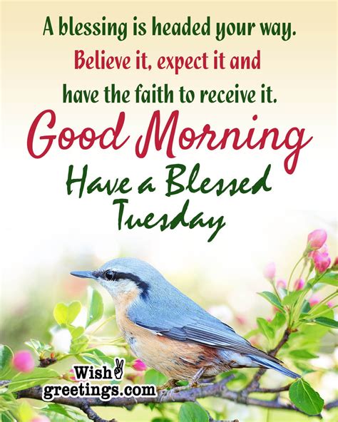 Best Tuesday Morning Wishes Quotes - Wish Greetings