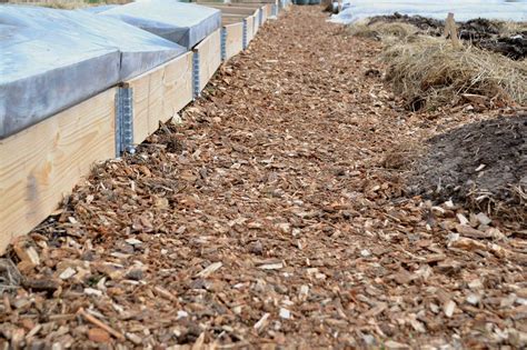 Wood Chips For Garden At Jovita Harshbarger Blog