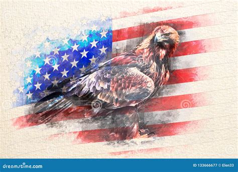 American Bald Eagle Combined with USA Flag Stock Illustration ...