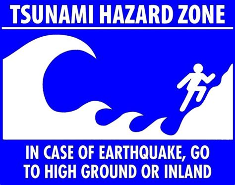 Tsunami Tips for Organizations | Tsunami, Tsunami warning, Emergency management