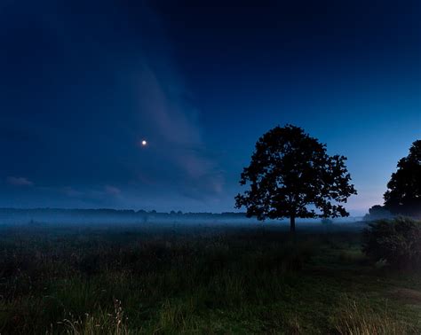 Grass Field At Night