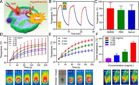 The photothermal effect of IFDG 808 nm 1 0 W cm² 10 min A