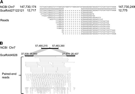 De Novo Assembly Of Human Genomes With Massively Parallel Short Read