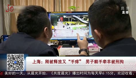 【徐小姐的徐】上海 刚被释放又“手痒” 男子顺手牵羊被刑拘 1万粉丝4万作品 资讯视频 免费在线观看 爱奇艺