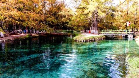 Rioverde San Luis Potosí Aventura en su laguna y gruta