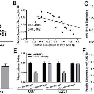 Downregulation Of Hsa Circ Inhibits The Proliferation