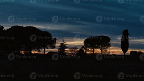 Tuscany Italy Cypresses And Other Plants In Evening Silhouette At