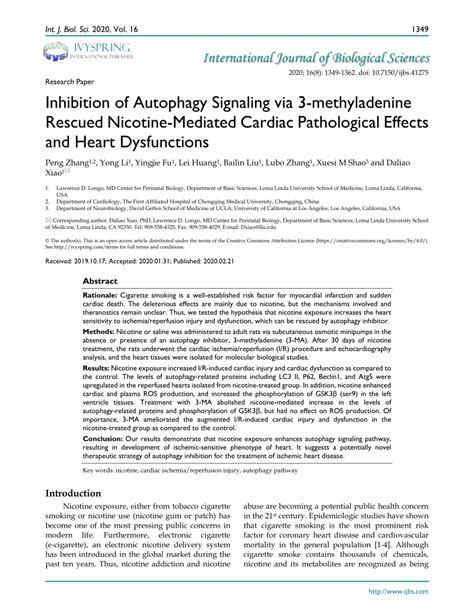 Pdf Inhibition Of Autophagy Signaling Via Methyladenine Rescued