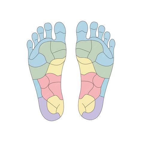 Foot reflexology chart illustrating pressure points on left and right