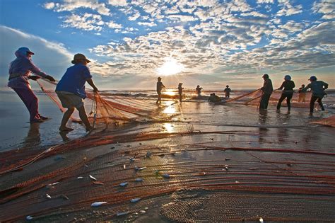 drag net sea dawn  photo  pixabay pixabay