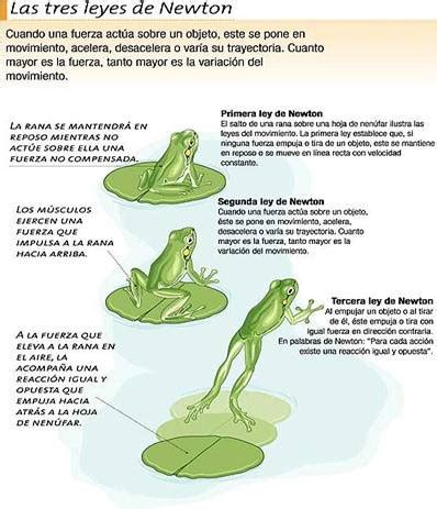 Leyes de Newton y Aplicaciones ~ Fundamentos de Física Comfandi