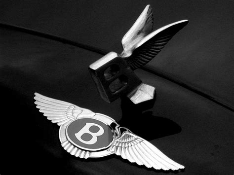 History Of All Logos All Bentley Logos