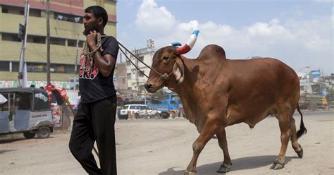 How Muslims Observe Eid Al Adha The Feast Of Sacrifice Huffpost