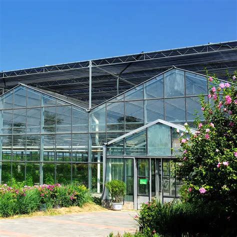 Arch Tunnel Single Multi Span Film Glass Sunboard Greenhouse With