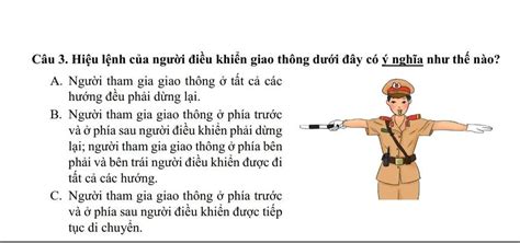 C U Hi U L Nh C A Ng I I U Khi N Giao Th Ng D I Y C Ngh A