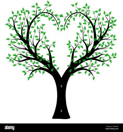 Heart Shaped Tree With Leaves Stock Vector Image Art Alamy