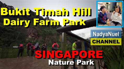 Singapore Nature Park L Bukit Timah Hill Summit L Dairy Farm Nature