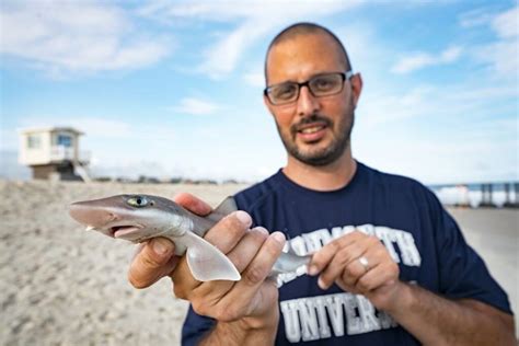 Webinar: "New Jersey Sharks and Their Habitats" July 11 | News ...