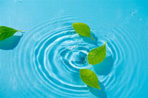 Hojas Verdes Flotando En El Agua Durante El Vórtice De Agua Diurno Mapa