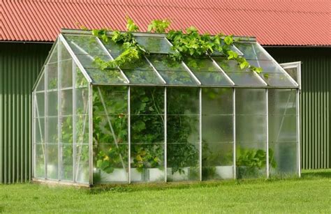 Greenhouse Made From Polycarbonate Panels