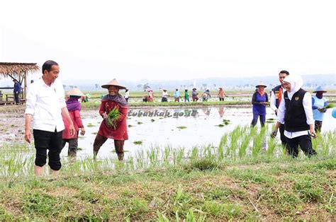 Gubernur Khofifah Komitmen Dorong Percepatan Masa Tanam Untuk Jaga