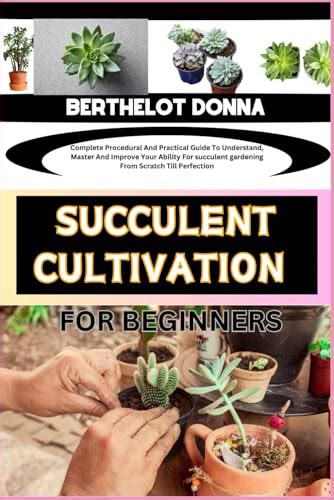 Succulent Cultivation For Beginners Complete Procedural And Practical