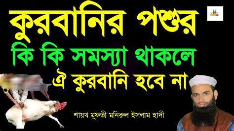 কুরবানির পশুর কি কি সমস্যা থাকলে ঐ কুরবানি হবে না। Sultan Itv Youtube