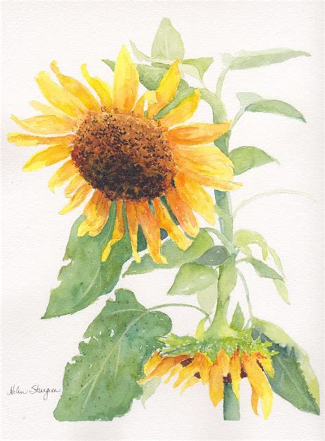 Watercolor sunflower | Flower art painting, Sunflower painting ...