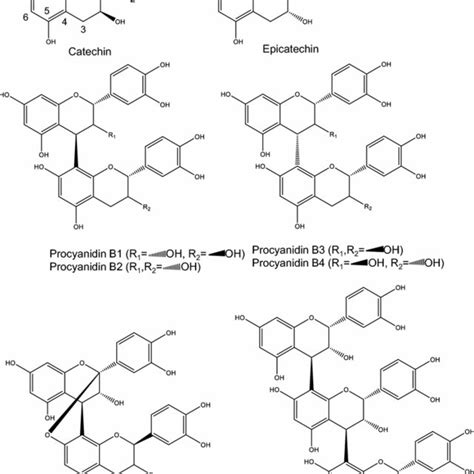 Procyanidins: a comprehensive review encompassing structure elucidation ...