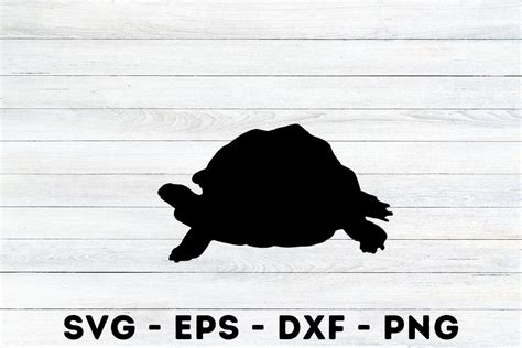 Turtle Silhouette Svg Graphic by MagaArt · Creative Fabrica