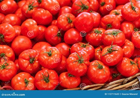 Prodotto Pomodori Freschi Nel Mercato Australiano Immagine Stock