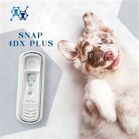 O 4Dx Plus detecta... - São Francisco Laboratório Veterinário