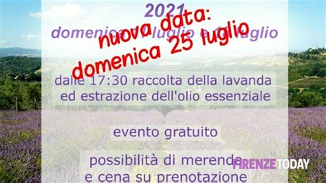 Festa Della Lavanda Nuova Data 25 Luglio 2021