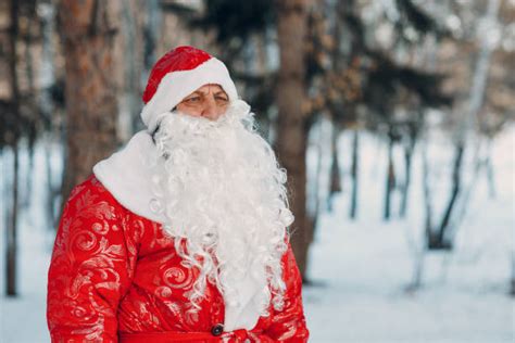 410+ Ded Moroz Costume Stock Photos, Pictures & Royalty-Free Images - iStock