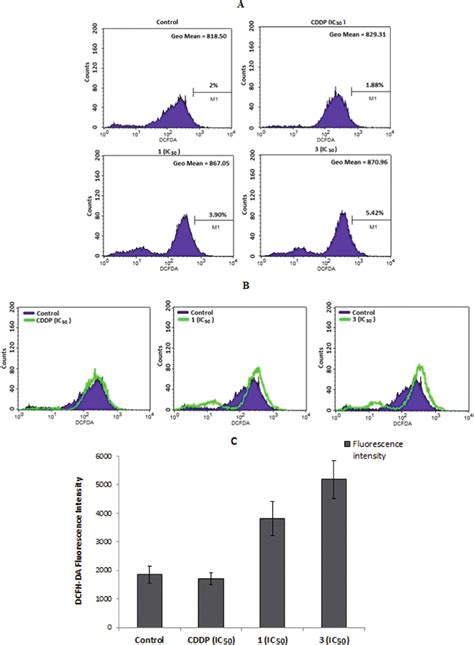 Effects Of Complexes 1 3 And CDDP On Intracellular ROS Levels