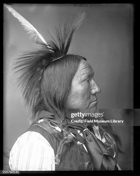 Native American Man Profile Photos And Premium High Res Pictures