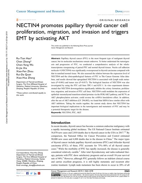 Pdf Nectin4 Promotes Papillary Thyroid Cancer Cell Proliferation