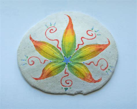 hand painted sand dollar Seashell Painting, Seashell Art, Seashell Crafts, Sand Dollar Craft ...