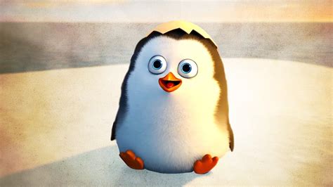 Penguins Of Madagascar Teens – Telegraph