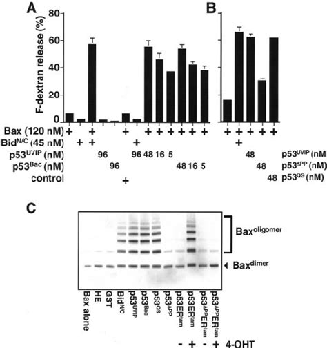 Cooperation Of Mammalian And Re Combinant P53 With Bax To Permeabilize