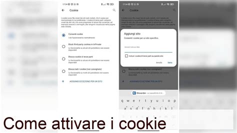 Come Attivare I Cookie Salvatore Aranzulla Youtube