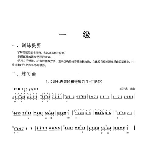 【满2件减2元】正版中国音乐学院社会艺术水平考级全国通用教材琵琶1 5级第二套一级 五级基础入门理论知识乐理考试用籍豈一虎窝淘